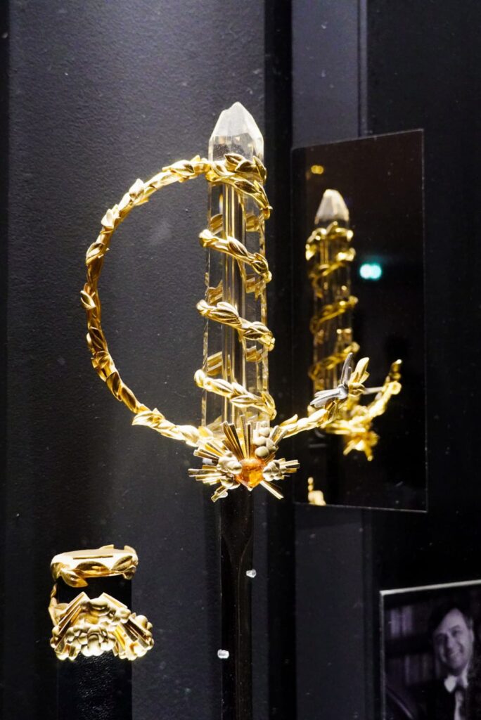 marmottan monet sword leaves